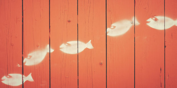Fische auf eine Wand gemalt