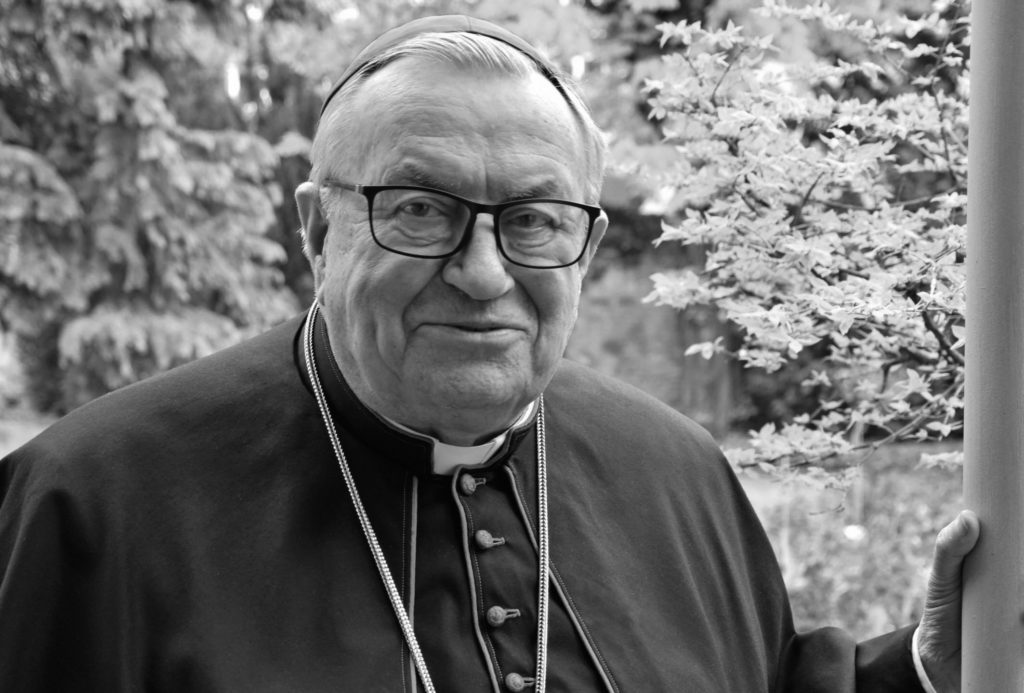 Karl Kardinal Lehmann, Bistum Mainz