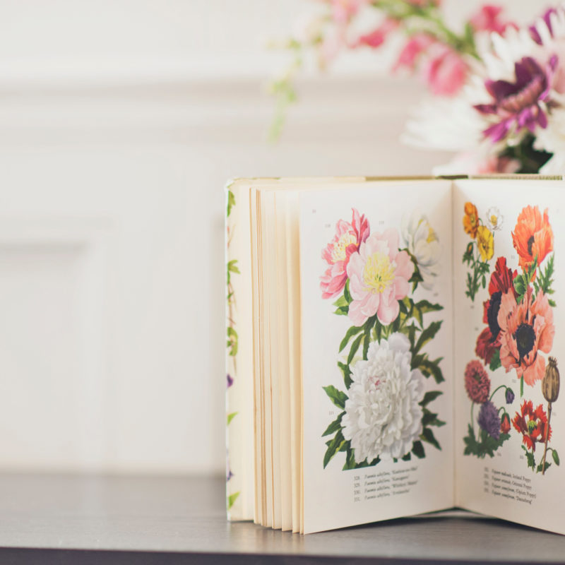 Blumenbuch und Blumen auf einem Tisch