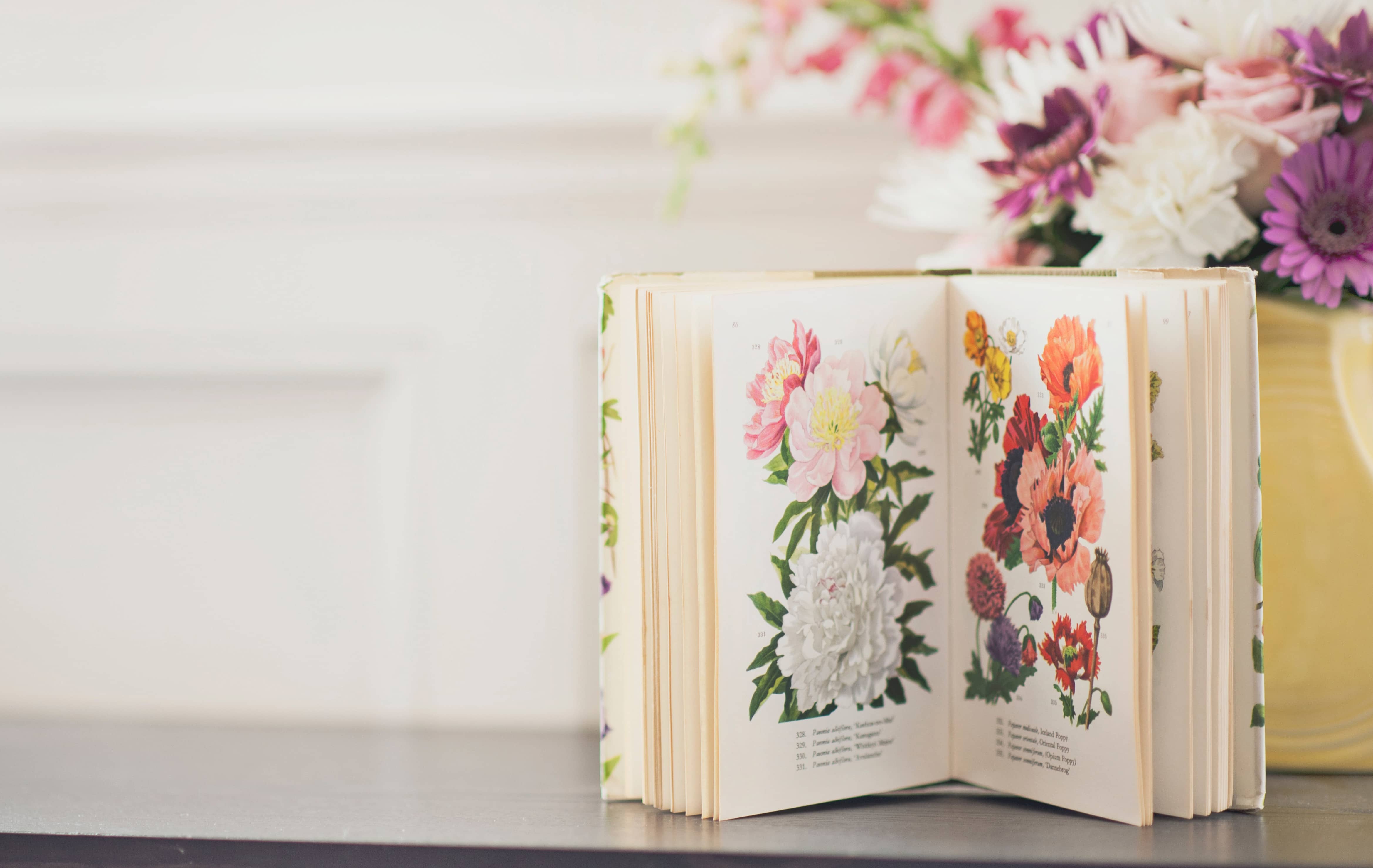 Blumenbuch und Blumen auf einem Tisch