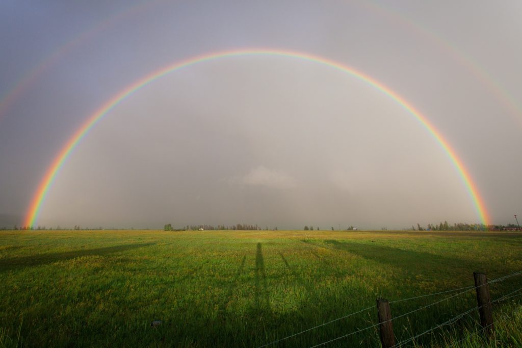 Regenbogen über einem Feld