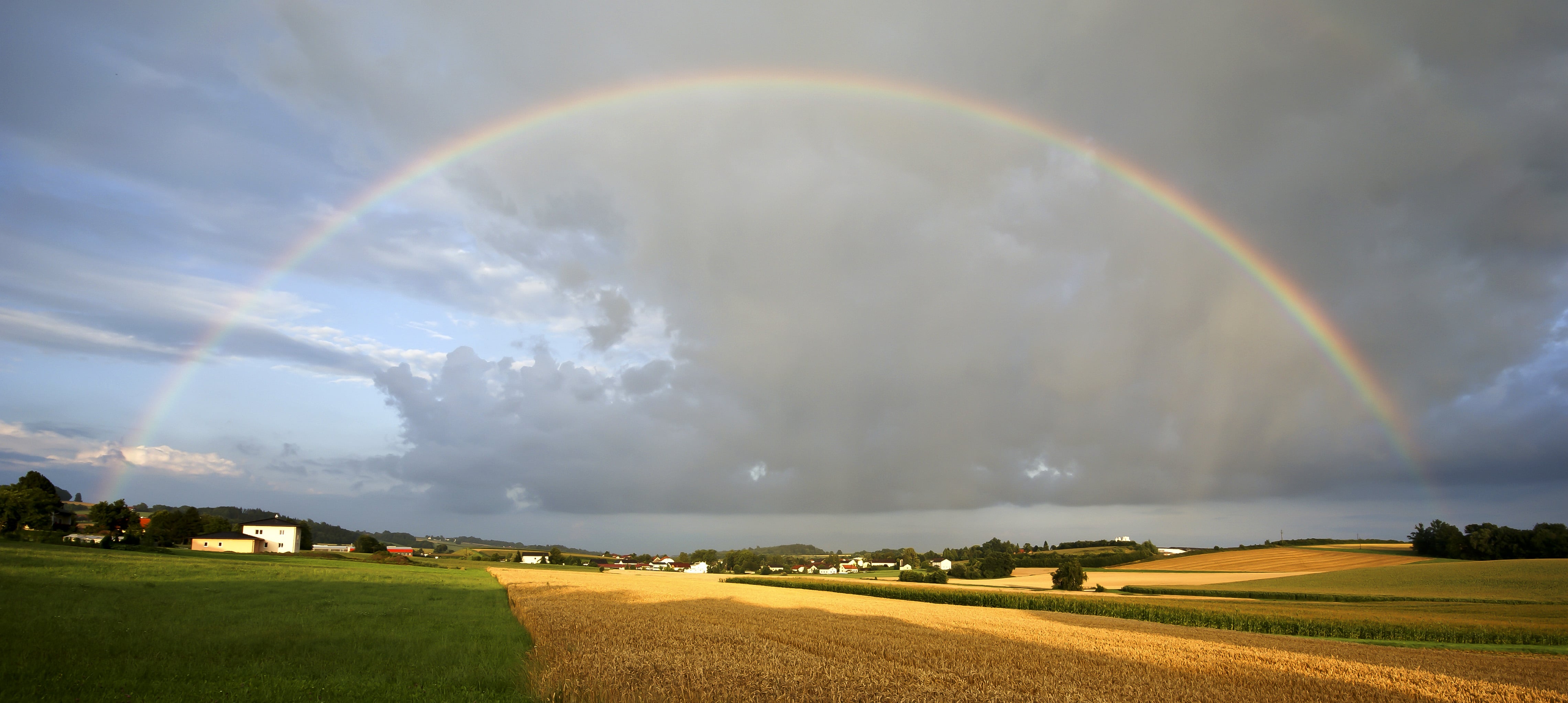 Regenbogen über einem Feld