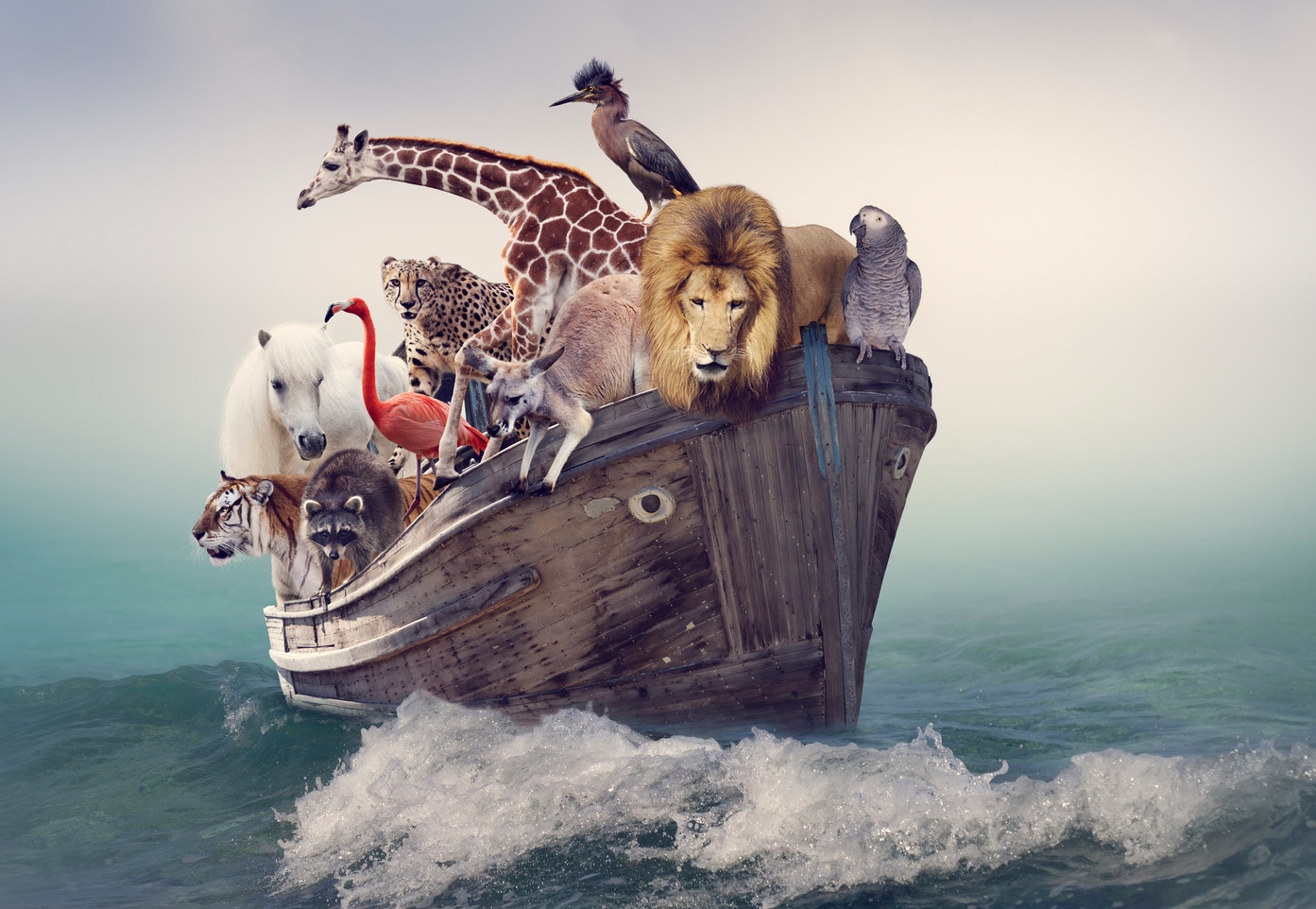 Tiere auf einem Boot