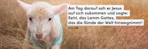 Lamm