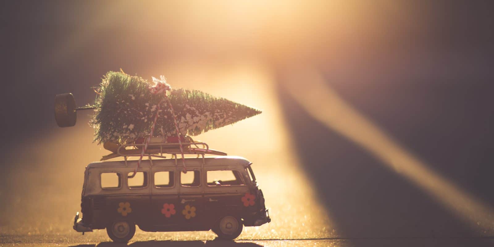 Bus mit Weihnachtsbaum