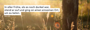 Wiese, Morgenstimmung