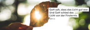 Licht, Blatt, Hand, Grün