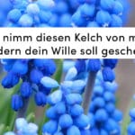 Blumen, blau