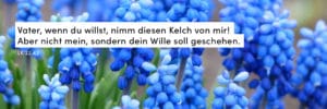 Blumen, blau