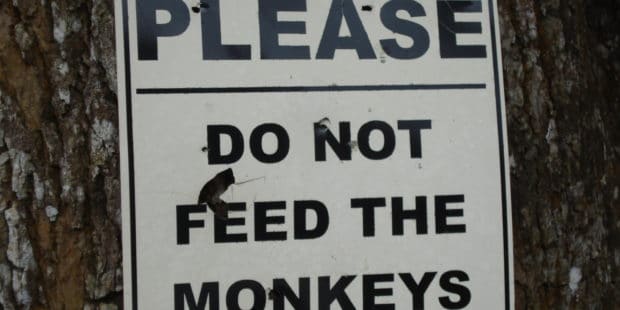 Schild: Please do not feed the monkeys