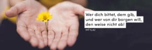 Hände, Blume, gelb
