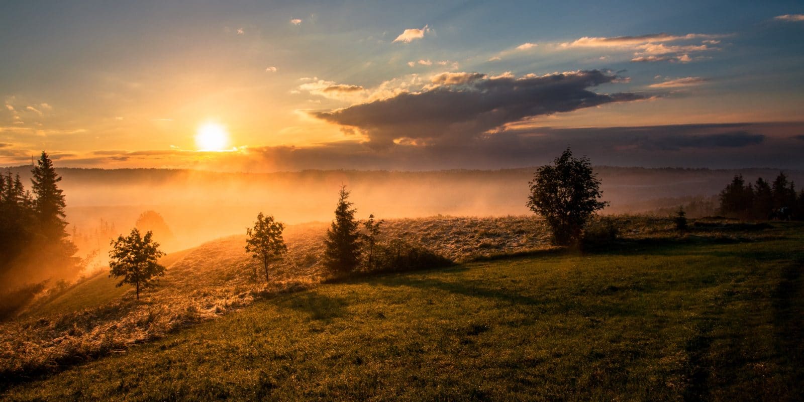 Sonnenaufgane mit Nebel