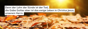 Herbst, Laub, Sonne