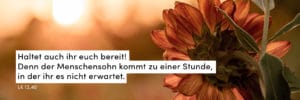 Bibelzitat, KW 44, Herbststimmung, Blume, Rosttöne