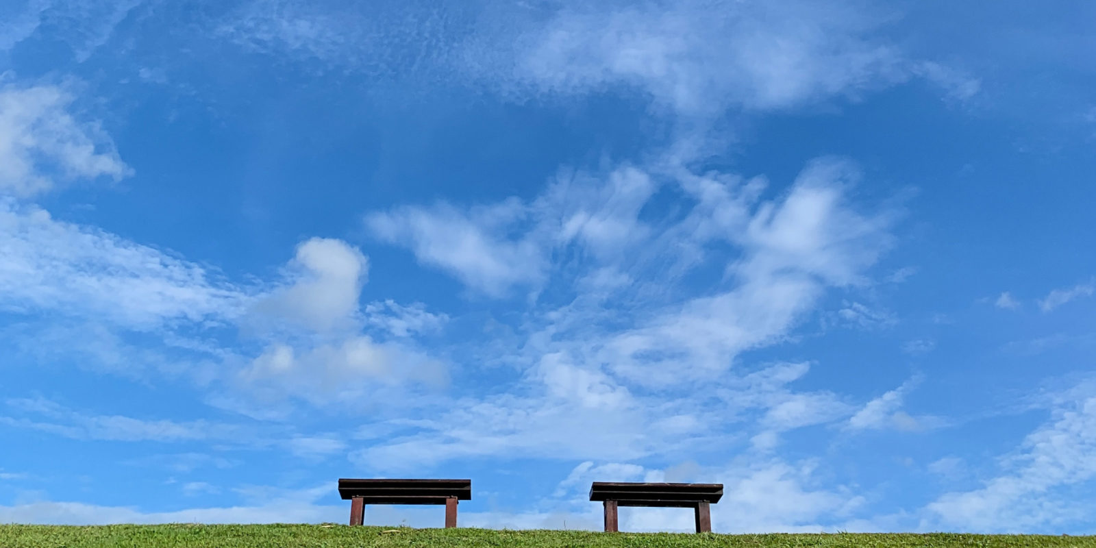 zwei Bänke auf einer grünen Wiese vor blauem Himmel