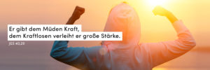 Sonnenaufgang, Orange, Rose, Stark, Recken