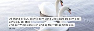 Schäne, See, stille