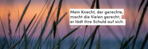 Abendstimmung