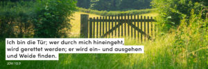Wiese, Tor, grün