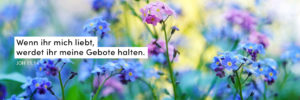 Vegissmeinnicht, Blumen