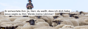 Schafe, Hirte