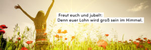 Natur, Sonne, Mohnblumen, Jubel