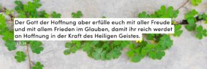 Klee wächst aus einer Wand