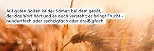 Korn, Sommer, Feld