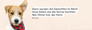 Hund, Ohren