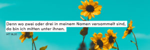 Sonnenblumen