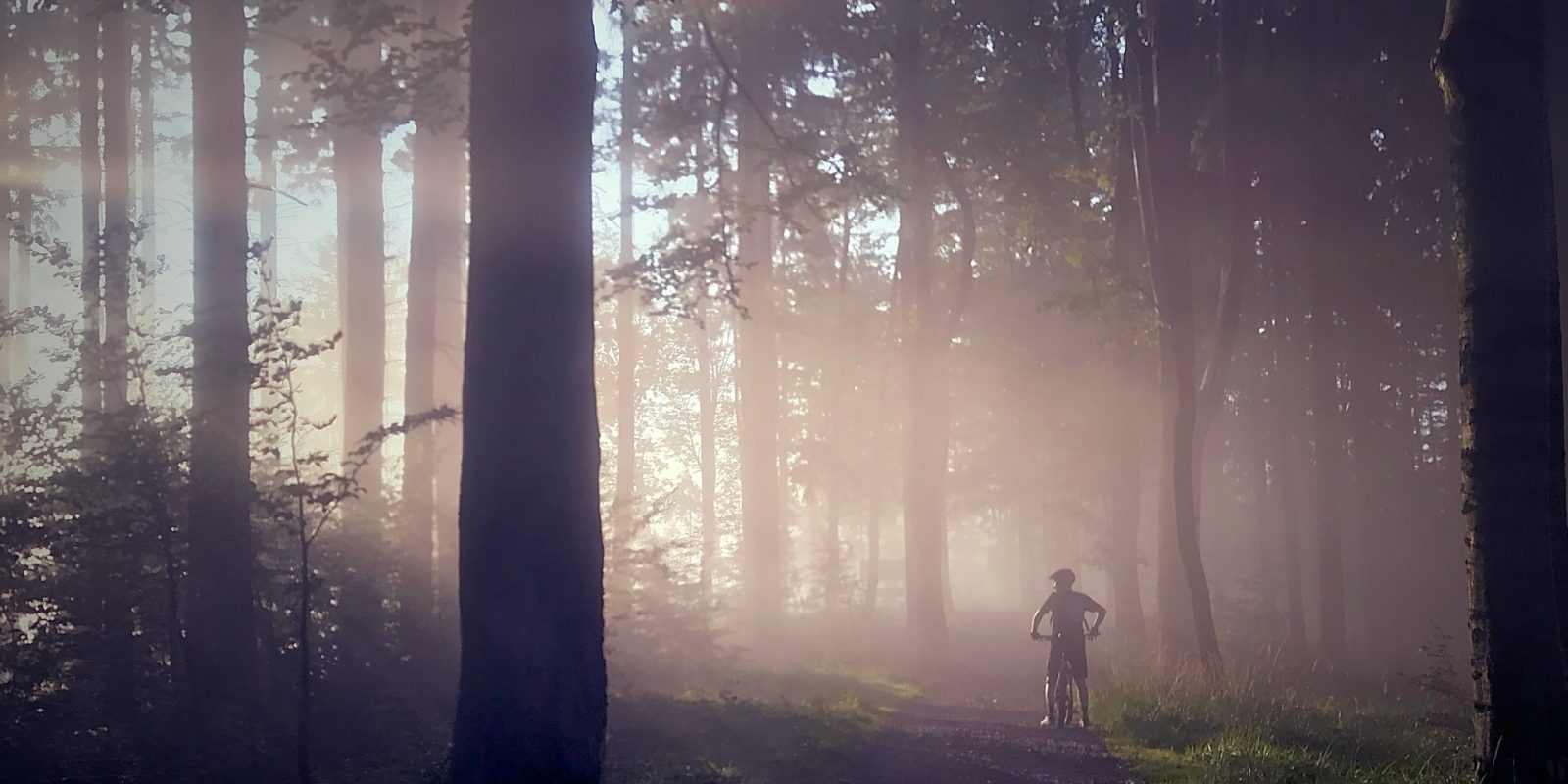 Mensch im Wald