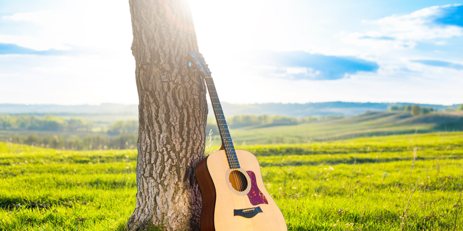 Gitarre lehnt an einem Baumstamm