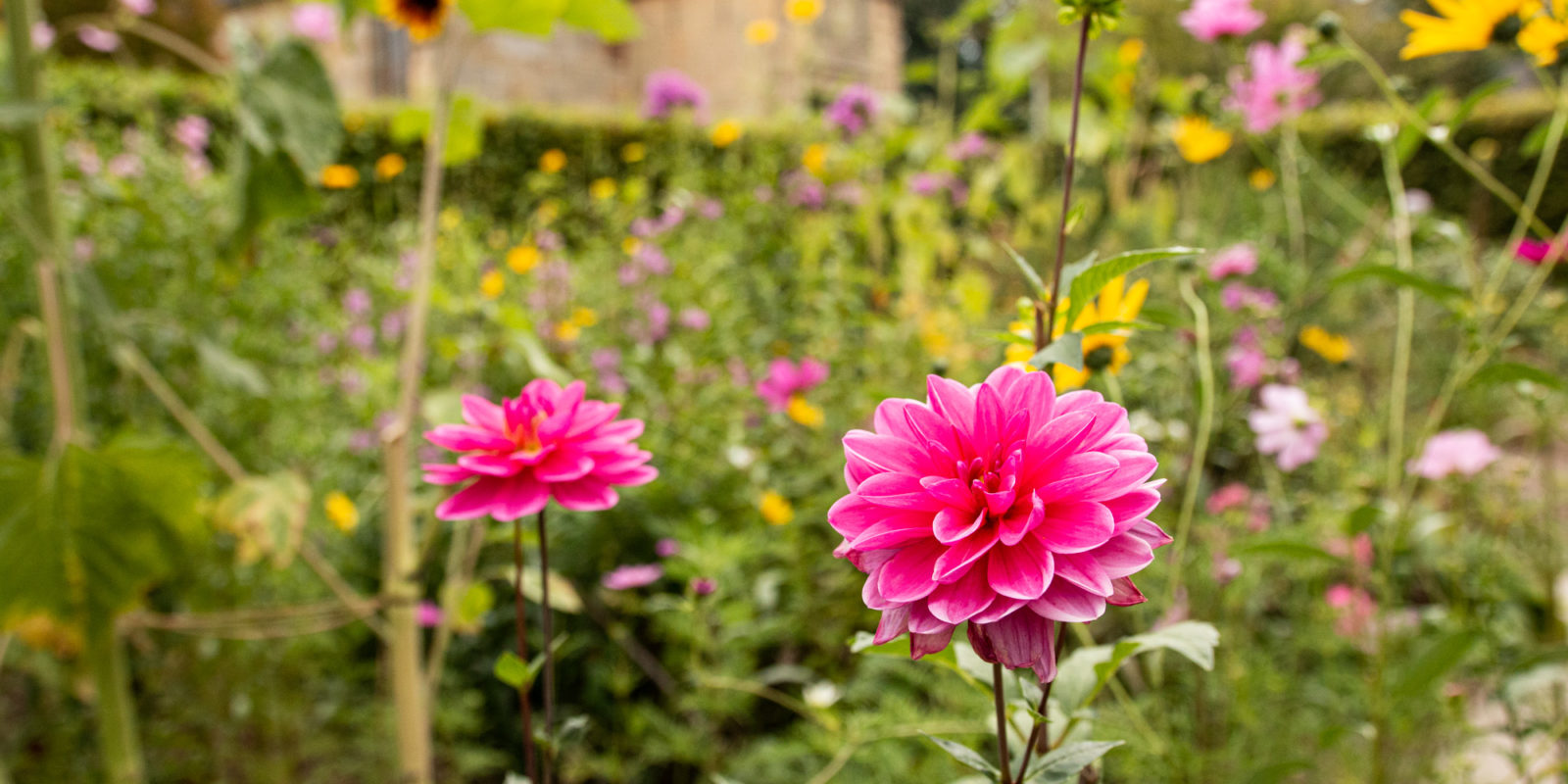 Ab in den Garten