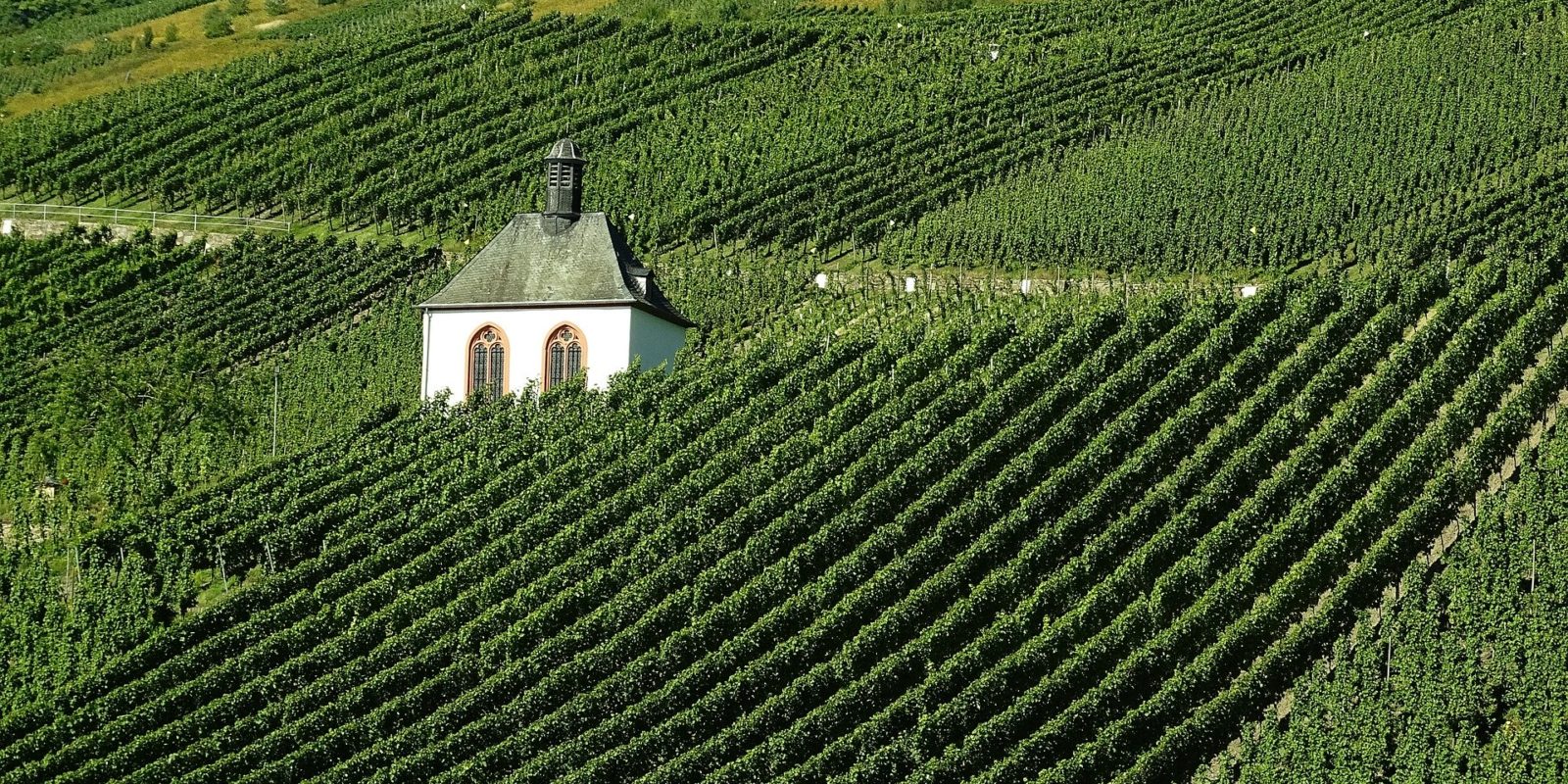 Eine Kapelle steht im Weinberg