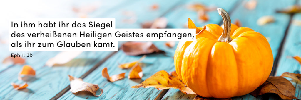 Kürbis, Herbst