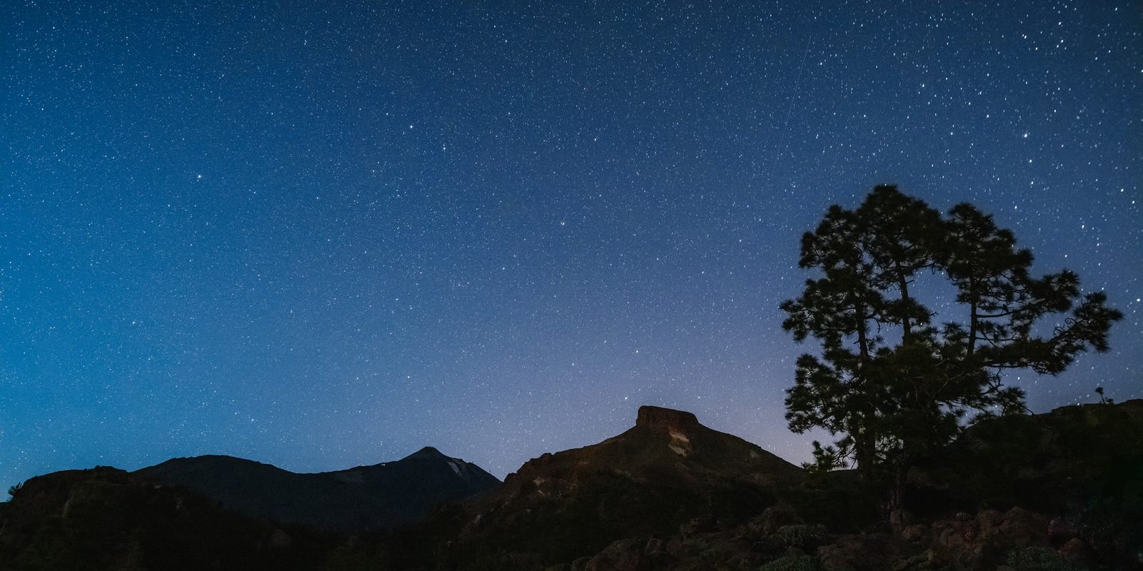 silhouette of trees on mountain under blue sky during night time