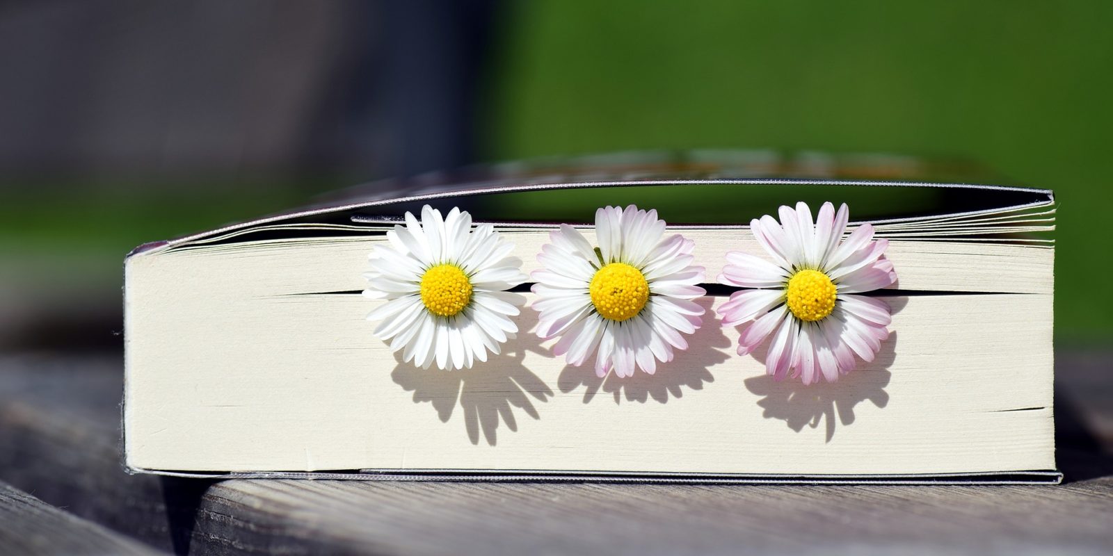 Bücher für den Frühling