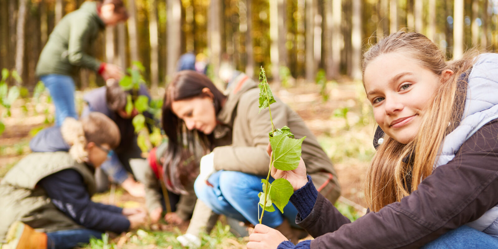 Menschen im Wald