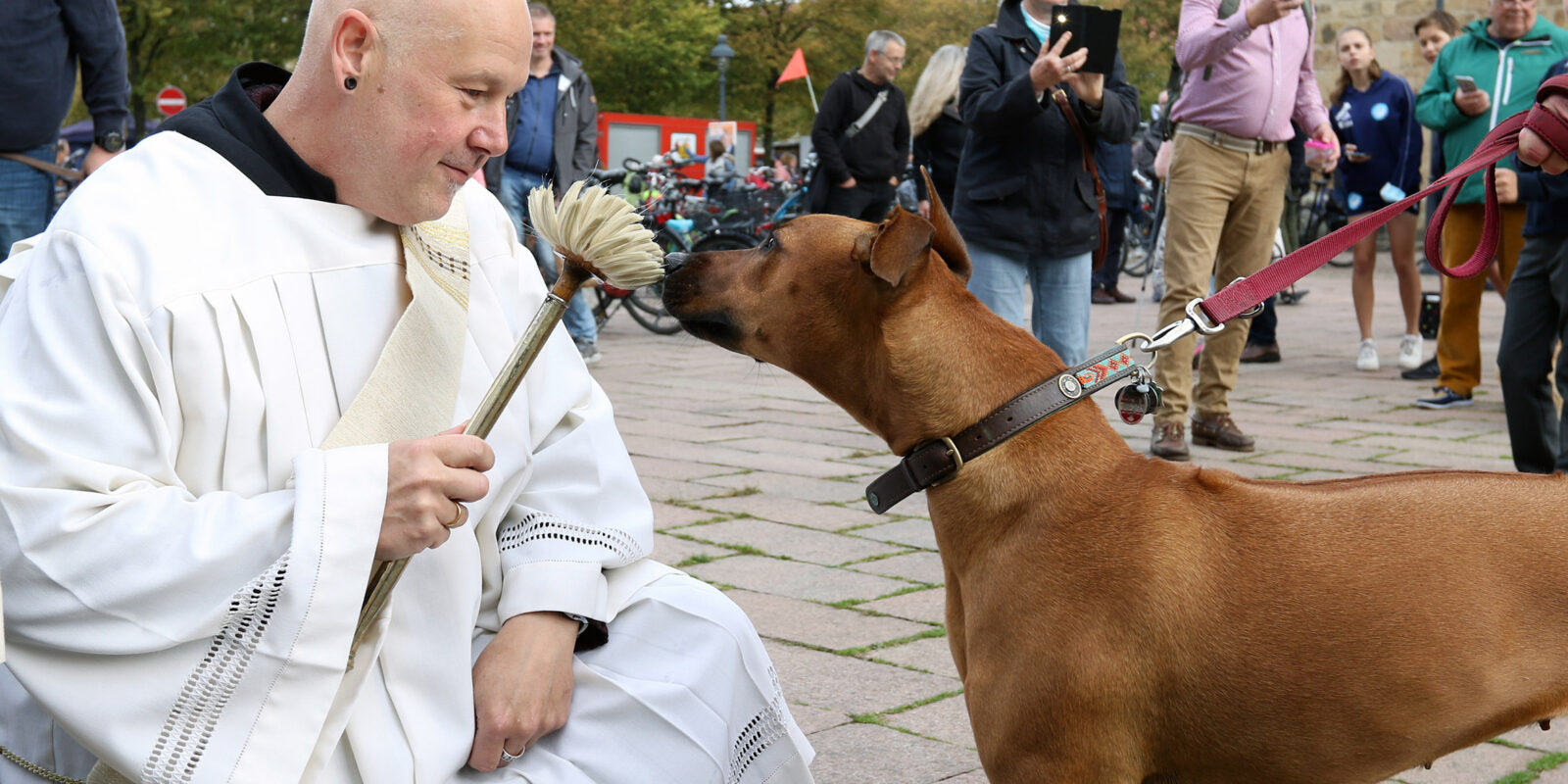 Tiersegnung vor dem Dom