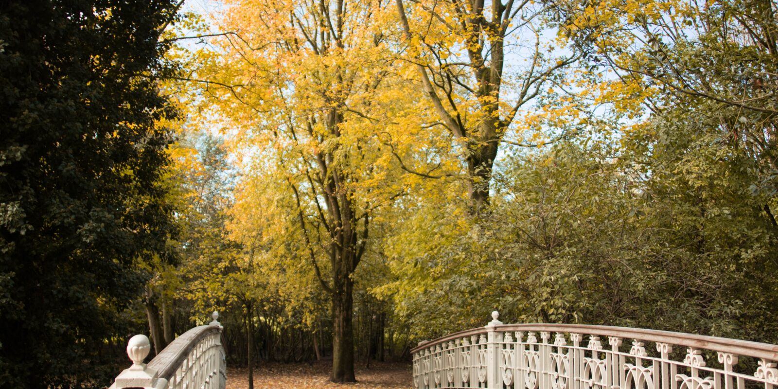 Brücke im Herbst