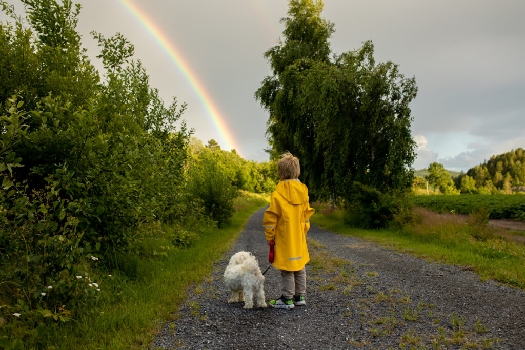 Little child with yellow raincoat and maltese dog, walking on a path, rainbow in front of him, Norway nature