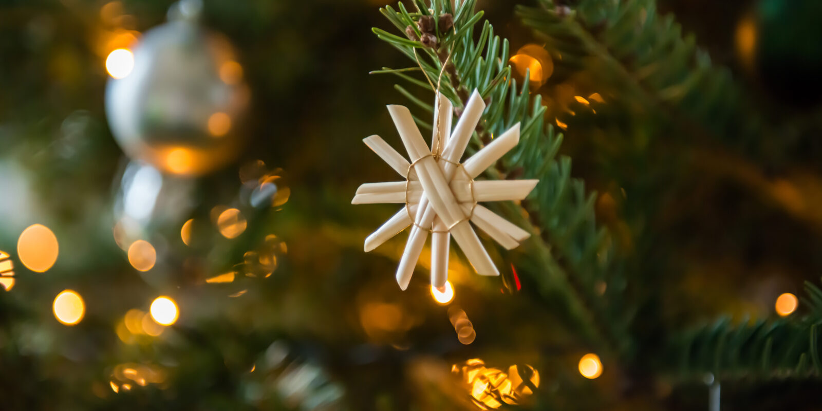 Strohstern am Tannenbaum