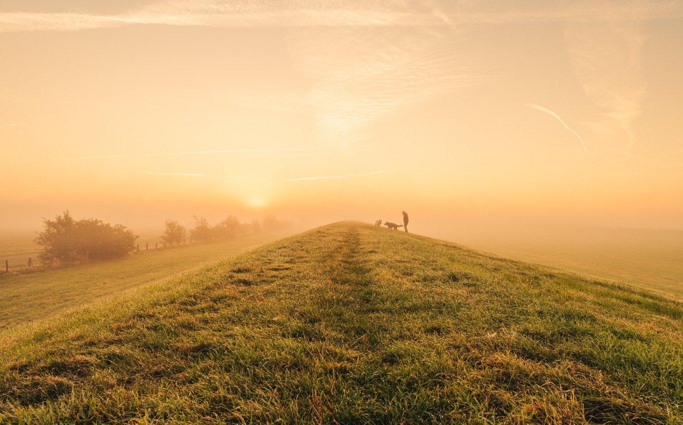 Sonnenaufgang auf einem Deich mit zwei Hunden und einem Mann in der Ferne