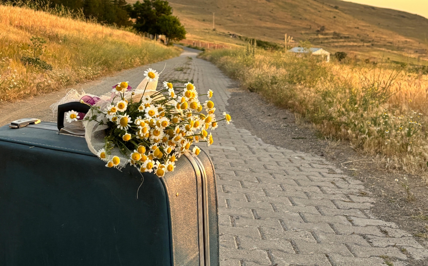 Koffer mit Blumen