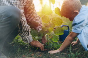 Gartenarbeit, Junge, Großvater