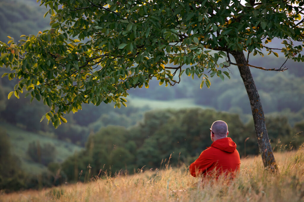 Meditierender Mann in einem Kornfeld an einem Baum