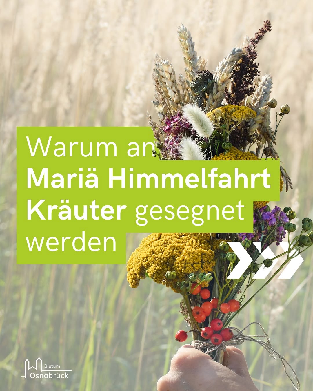Ein Beitrag aus unserem Instagram Kanal. Veröffentlicht vor 7 Tagen