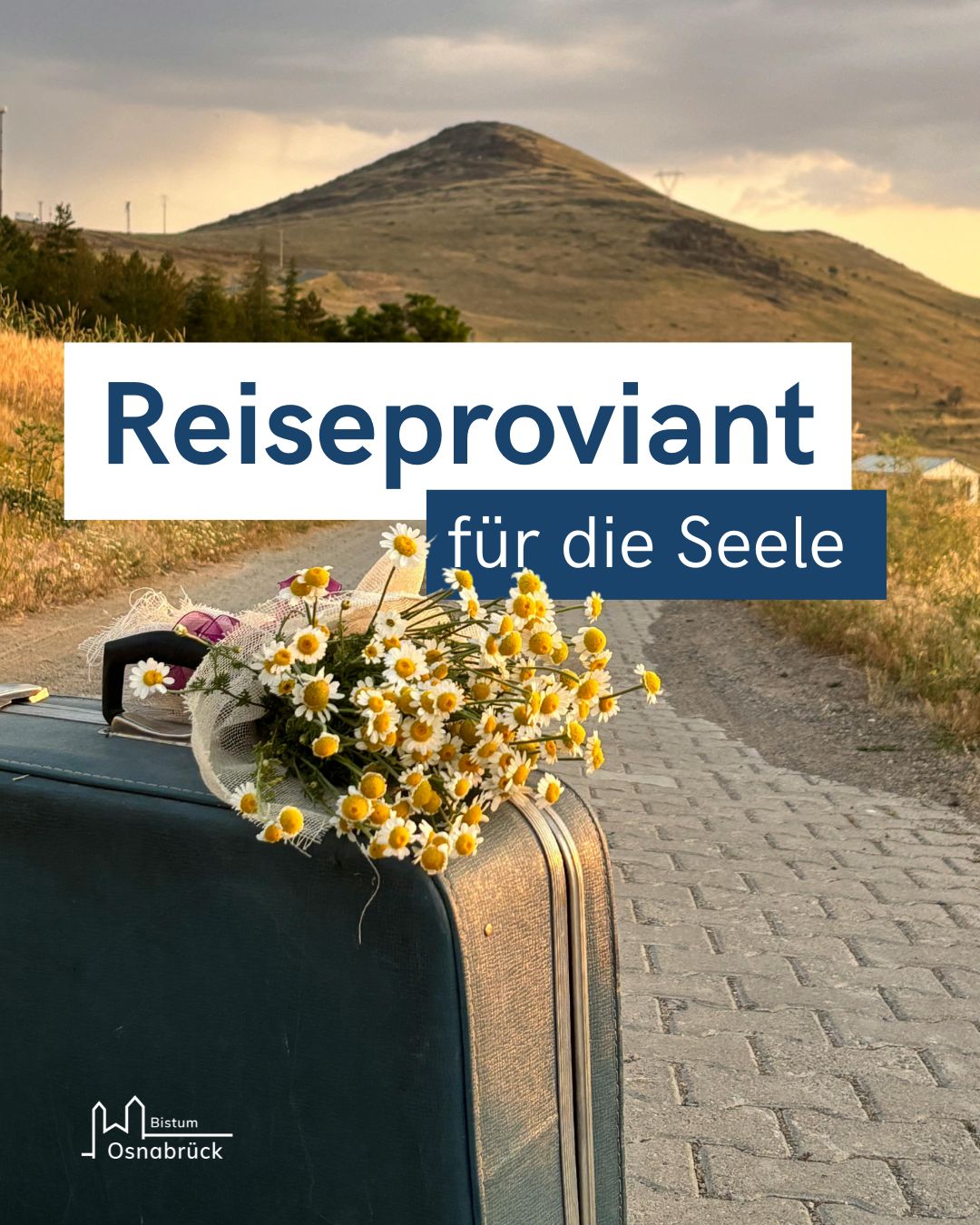 Ein Beitrag aus unserem Instagram Kanal. Veröffentlicht vor 1 Tag