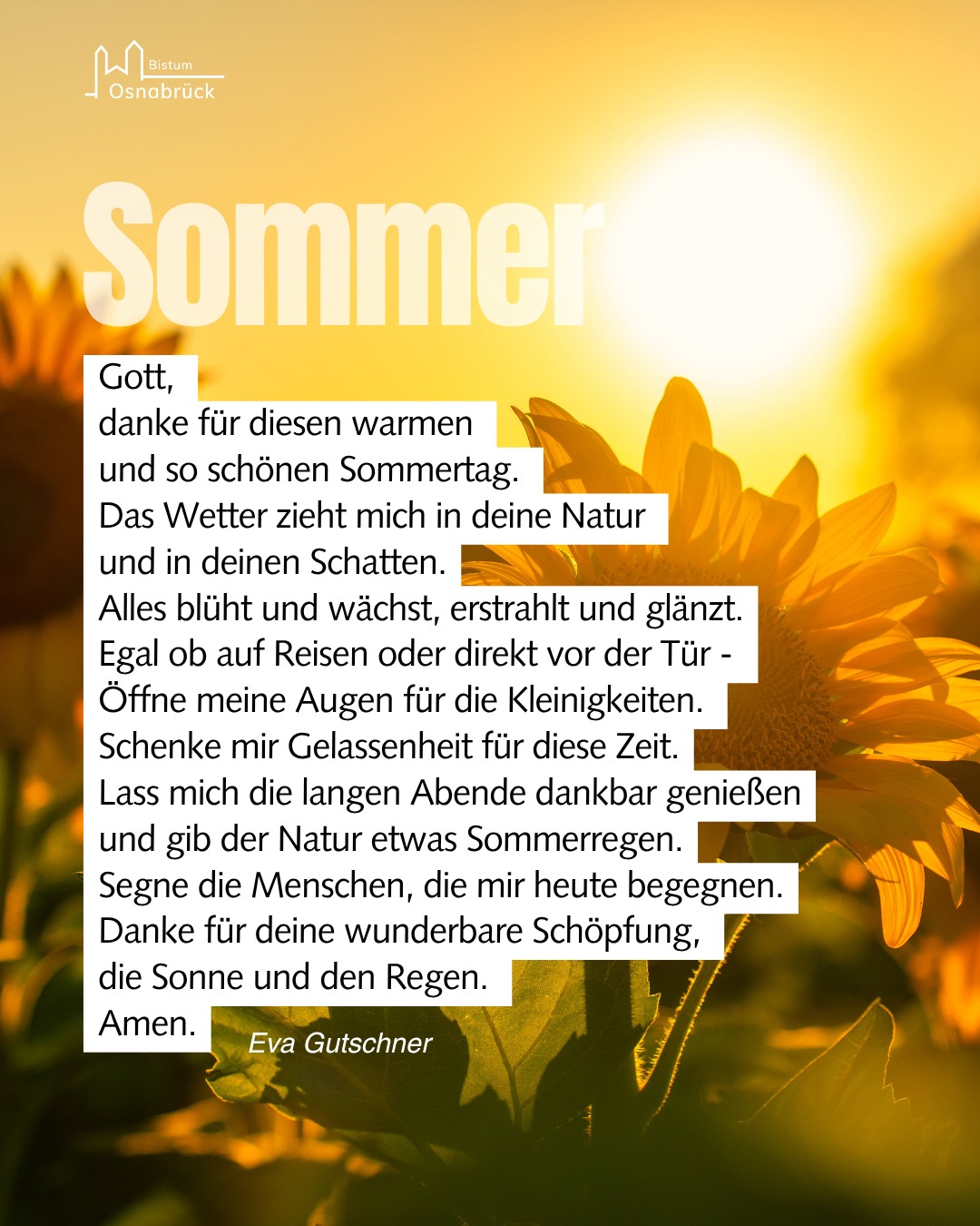Ein Beitrag aus unserem Instagram Kanal. Veröffentlicht vor 24 Stunden