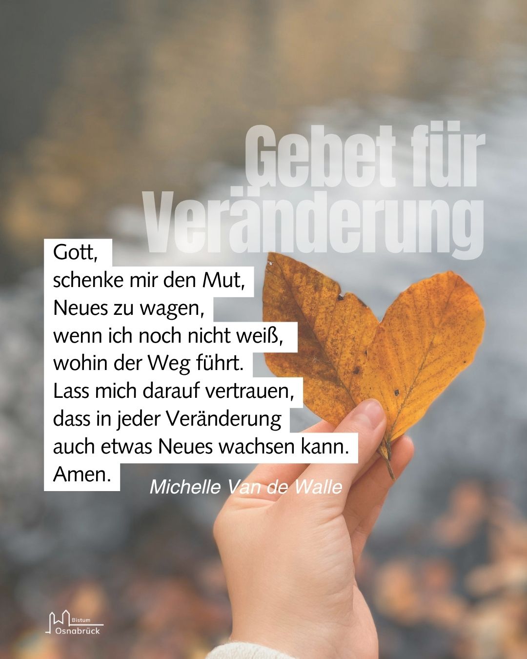 Ein Beitrag aus unserem Instagram Kanal. Veröffentlicht vor 2 Stunden